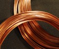 Copper Set for Weekly and Monthly Gains Amid Steady Fed Policy and Structural Demand