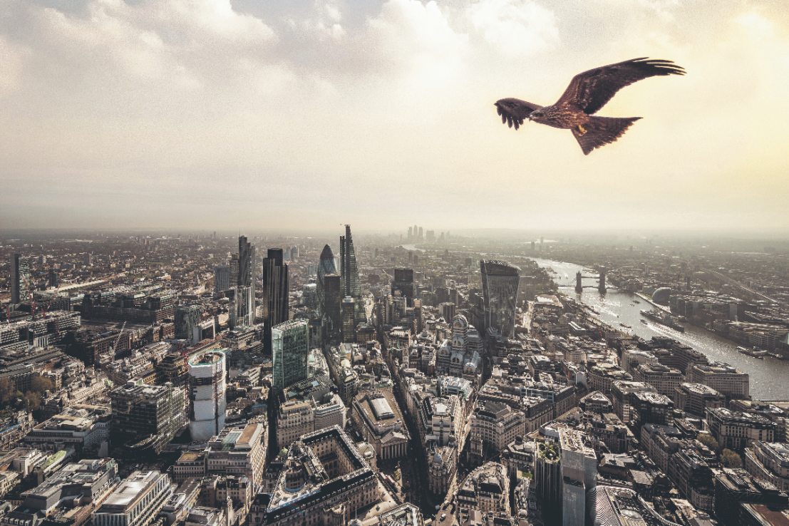 Blick Rothenberg chief says firm helped spark private equity rush into accountancy