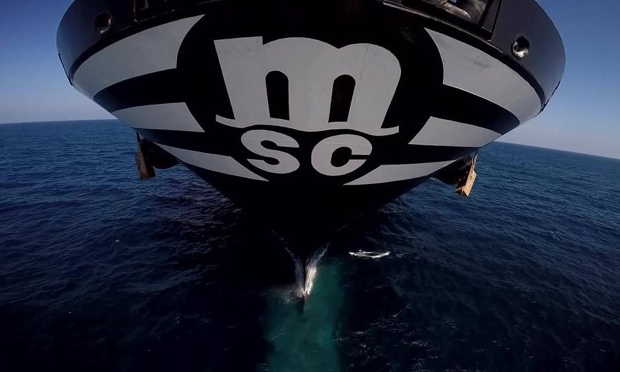 MSC подаёт иск к CargoLoop из-за пожара электромобиля на борту MSC Carlotta