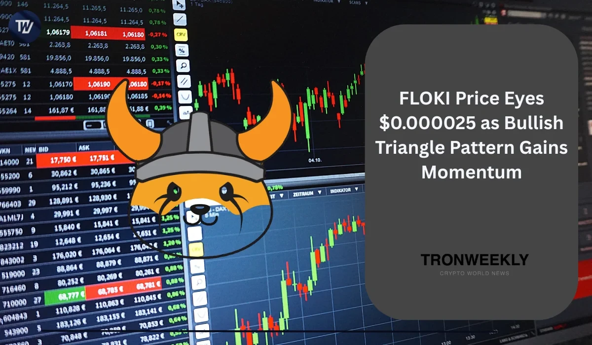 Аналитики FLOKI следят за уровнем $0,000025 по мере формирования паттерна «симметричный треугольник»