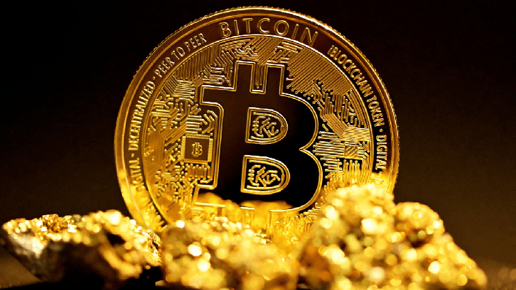 Bitwise Survey: Institutions See Bitcoin Like Gold but Invest in It Like Tech