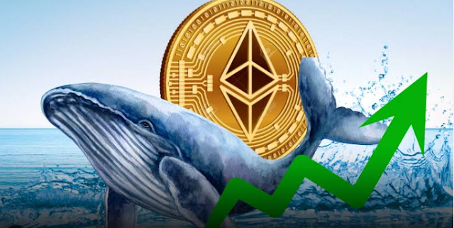 Partecipante dell'ICO di Ethereum sposta 5 milioni di dollari in ETH dopo 11 anni, trasformando 831 dollari in un rendimento di 6.068x
