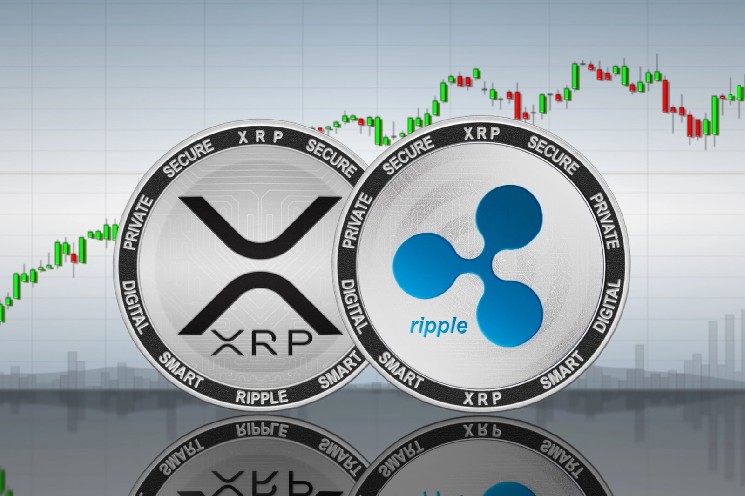 Крупнейшее XRP-казначейство раскрывает бонусы топ-менеджерам в размере 50% перед листингом на Nasdaq