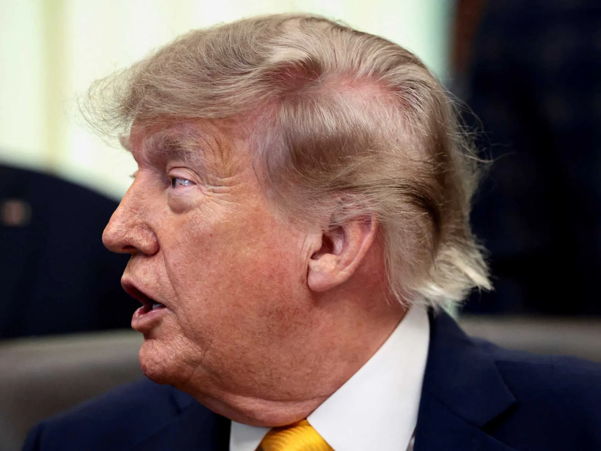 Immigration Expert Condemns Trump Birthright Rule Defying Supreme Court: 'Impeach Everyone Responsible'