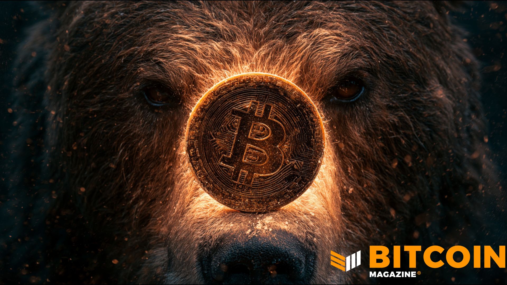 Fidelity: медвежий рынок биткоина, возможно, ещё не завершён