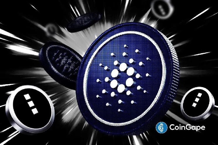 Kurs Cardano w centrum uwagi, gdy Hoskinson zapowiada dużą aktualizację Midnight — czy ADA obroni wsparcie 0,20 USD?