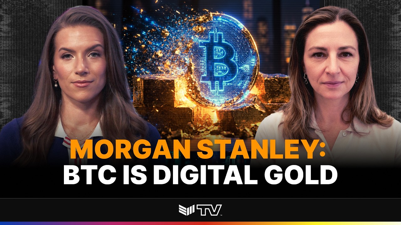 Эми Олденбург из Morgan Stanley: аргументы в пользу биткоина как цифрового золота