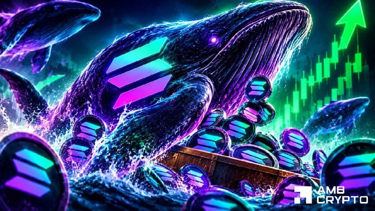 Solana Whales Buy $41.5M in SOL – Can the Price Reclaim $110?