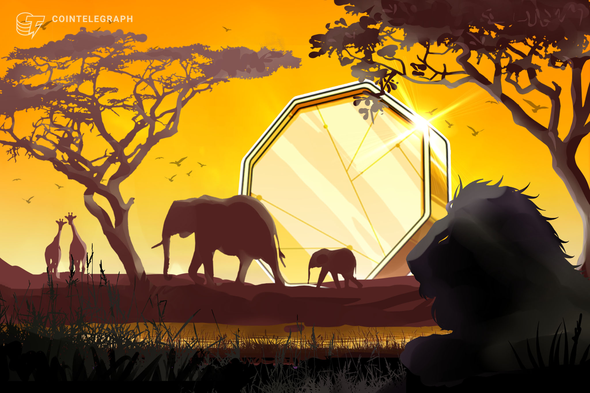 Lo Zimbabwe aggiunge sette progetti fintech alla regulatory sandbox