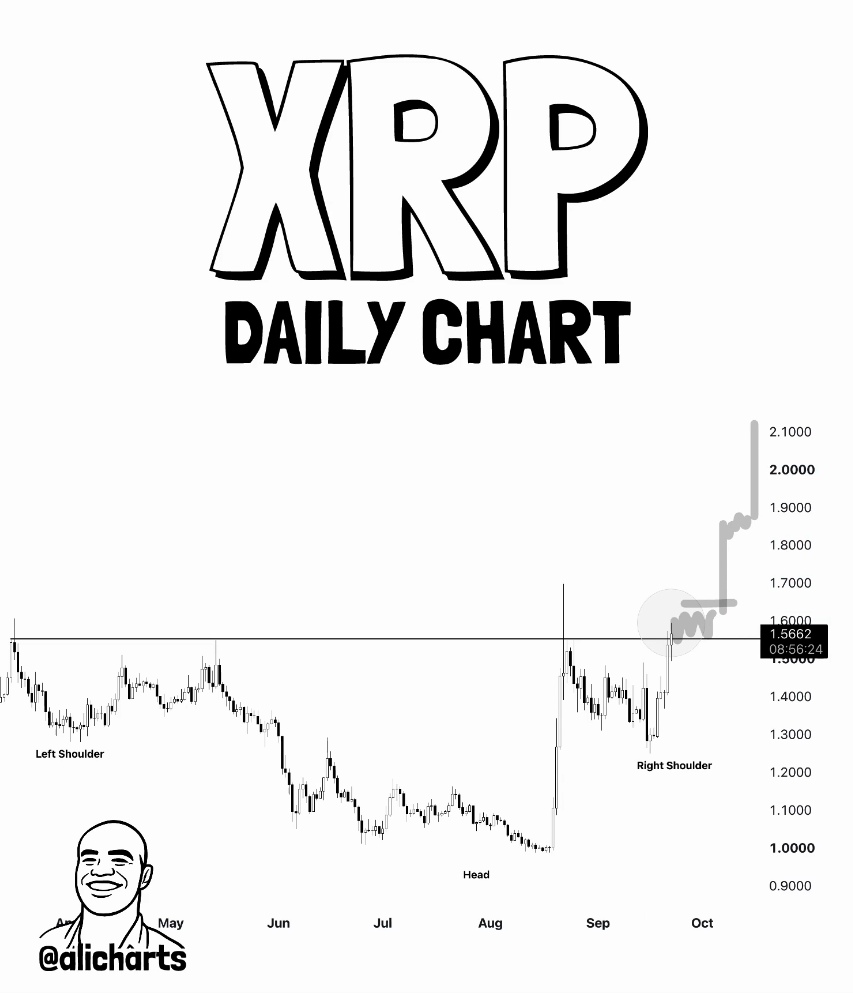 XRP Pulls Back From $1.60 as Whale Activity and ETF Volume Increase