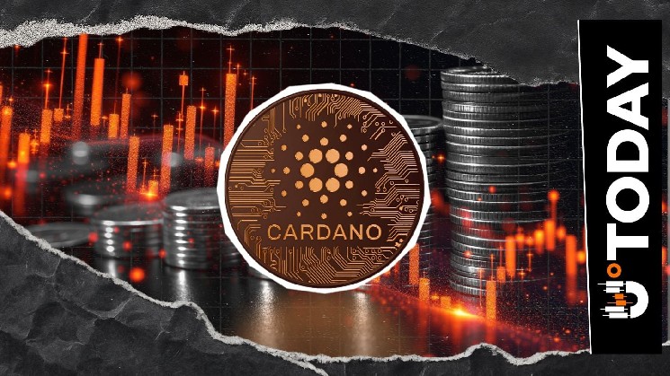 Cardano Sees 10,166% Liquidation Imbalance as Price Tests $0.20 Support