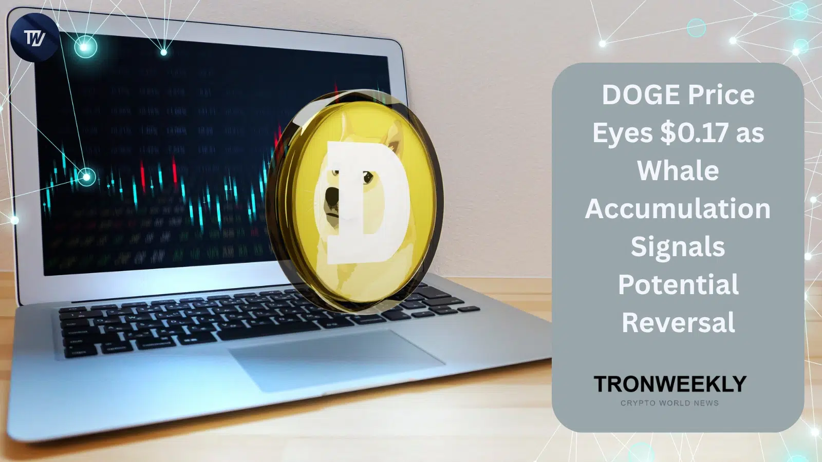 DOGE Price Eyes $0.17 as Whale Accumulation Signals Potential Reversal