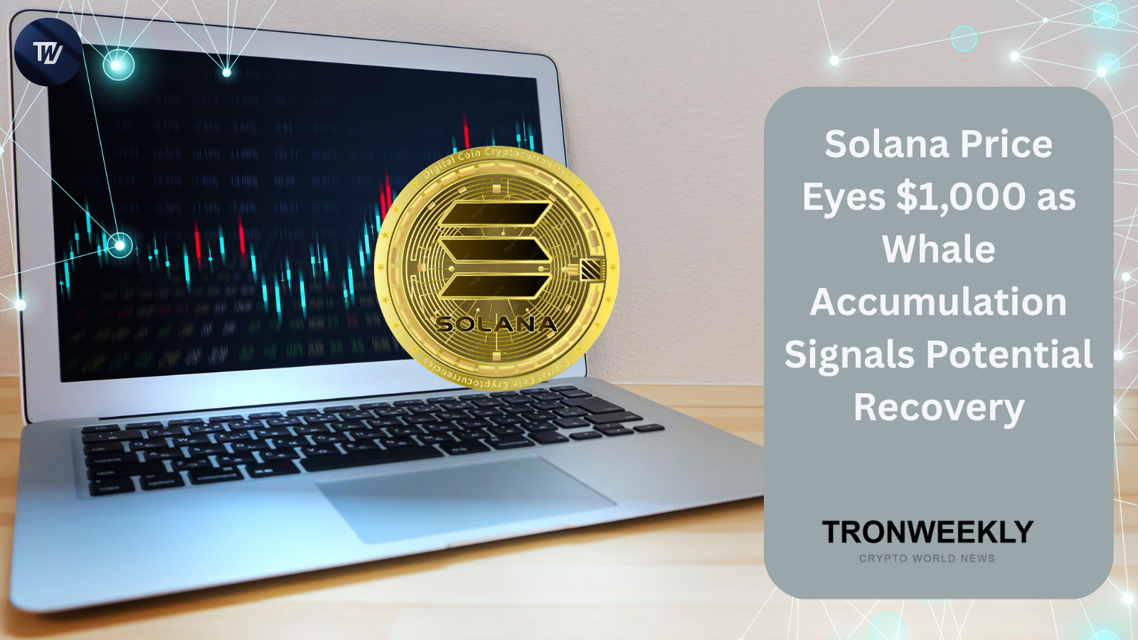 Solana Price Eyes $1,000 as Whale Accumulation Signals Potential Recovery