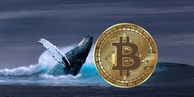 Bitcoin-whale sluit korte positie van $114 miljoen deels na stijging BTC, behoudt bijna $99 miljoen positie