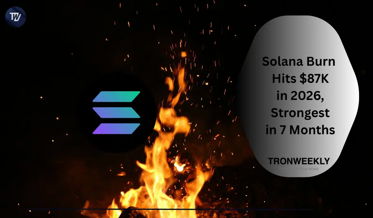 Solana Daily Burn Hits $87K in 2026, Strongest Figure in Seven Months