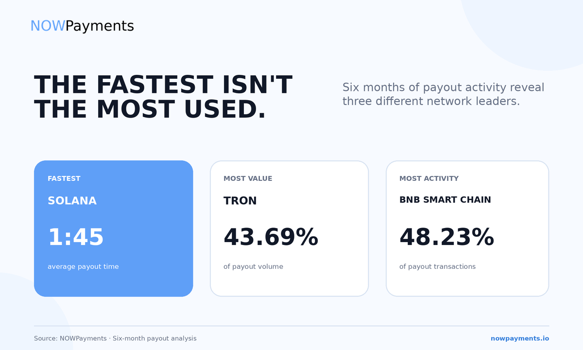 NOWPayments Publishes Cross-Chain Payout Benchmarks Across TRON, BNB Smart Chain, Solana, Bitcoin, and Ethereum
