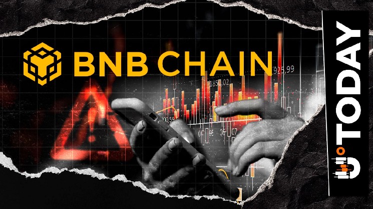 Restano due giorni: BNB Chain si prepara all'hard fork Pasteur con importanti aggiornamenti di rete