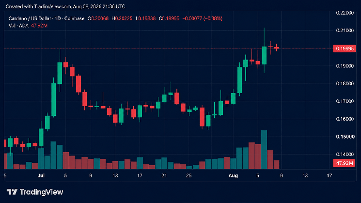 暗号資産ウィークリー:ADAとプライバシーコインが好調もXRPは下落