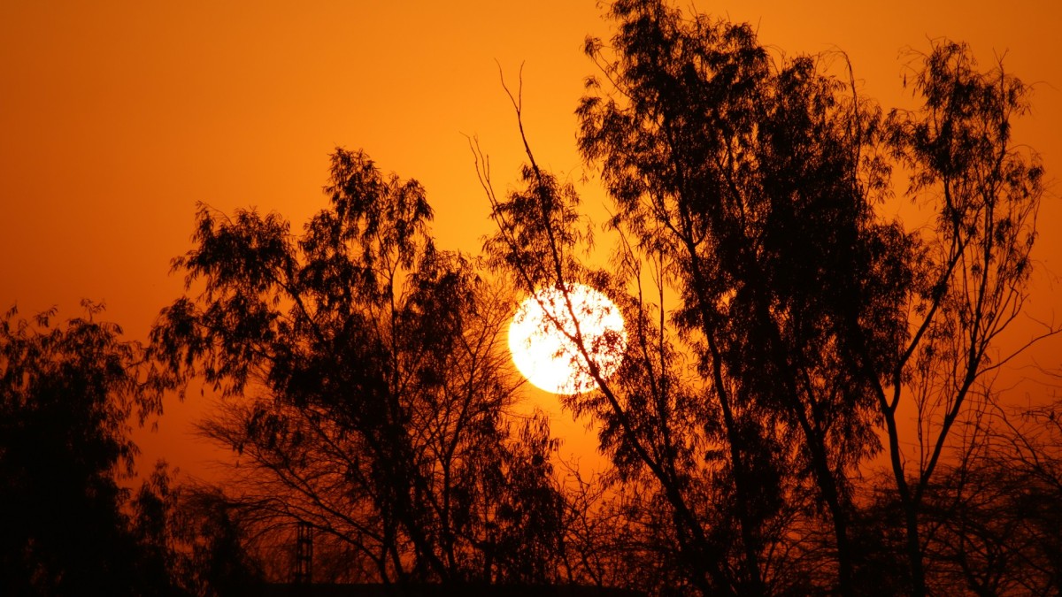 Une vague de chaleur en Californie met le réseau électrique à l’épreuve face à l’envolée de la demande