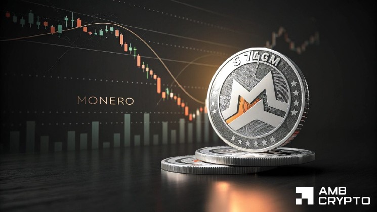 門羅幣反彈動能增強 XMR 未平倉合約攀升至 2.61 億美元