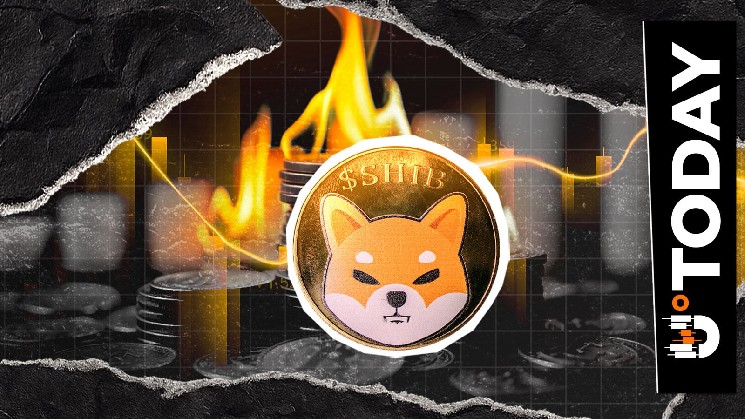 Сжигание Shiba Inu возобновилось после кратковременной паузы: дневная скорость сжигания выросла на 725%