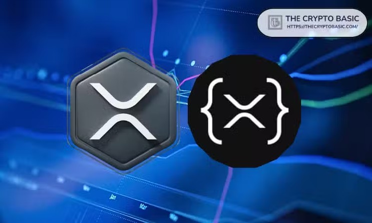 XRPL-DEX-Orderbook-Volumen stieg im Q2 2026 auf 3,57 Millionen XRP pro Tag