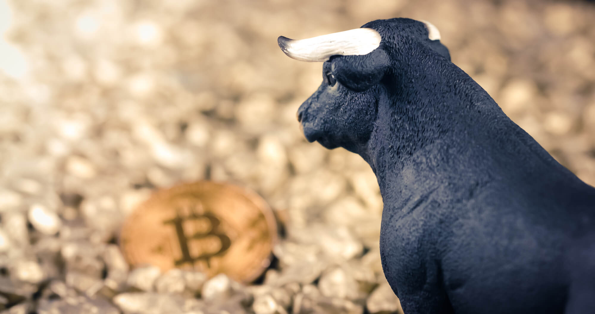 Récord de short squeeze de Bitcoin liquida USD 3.3 mil millones en posiciones cortas y empuja el precio por encima de USD 70,000