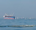 Baltic Dry Index stijgt voor tweede dag, maar sluit de week lager