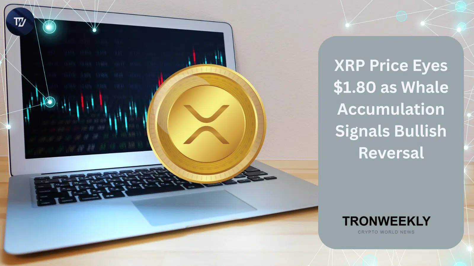 XRP在支撑位附近交易,巨鲸累计增持达425万美元