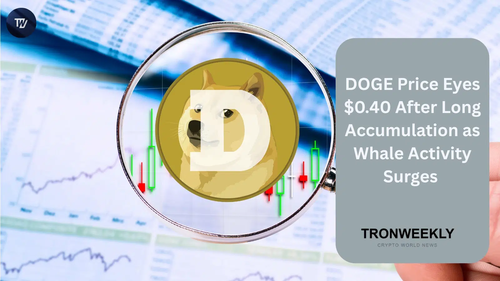 El precio de DOGE apunta a $0.40 amid una acumulación sostenida y una creciente actividad de ballenas