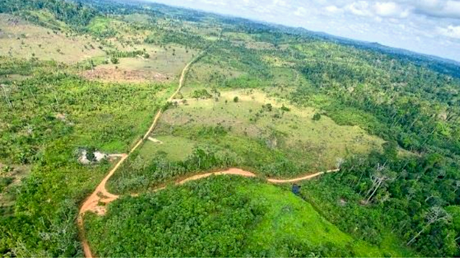 Brasiliens Oberster Gerichtshof bestätigt Übergangsregeln, die den Cinta Larga den legalen Bergbau auf ihren Territorien ermöglichen