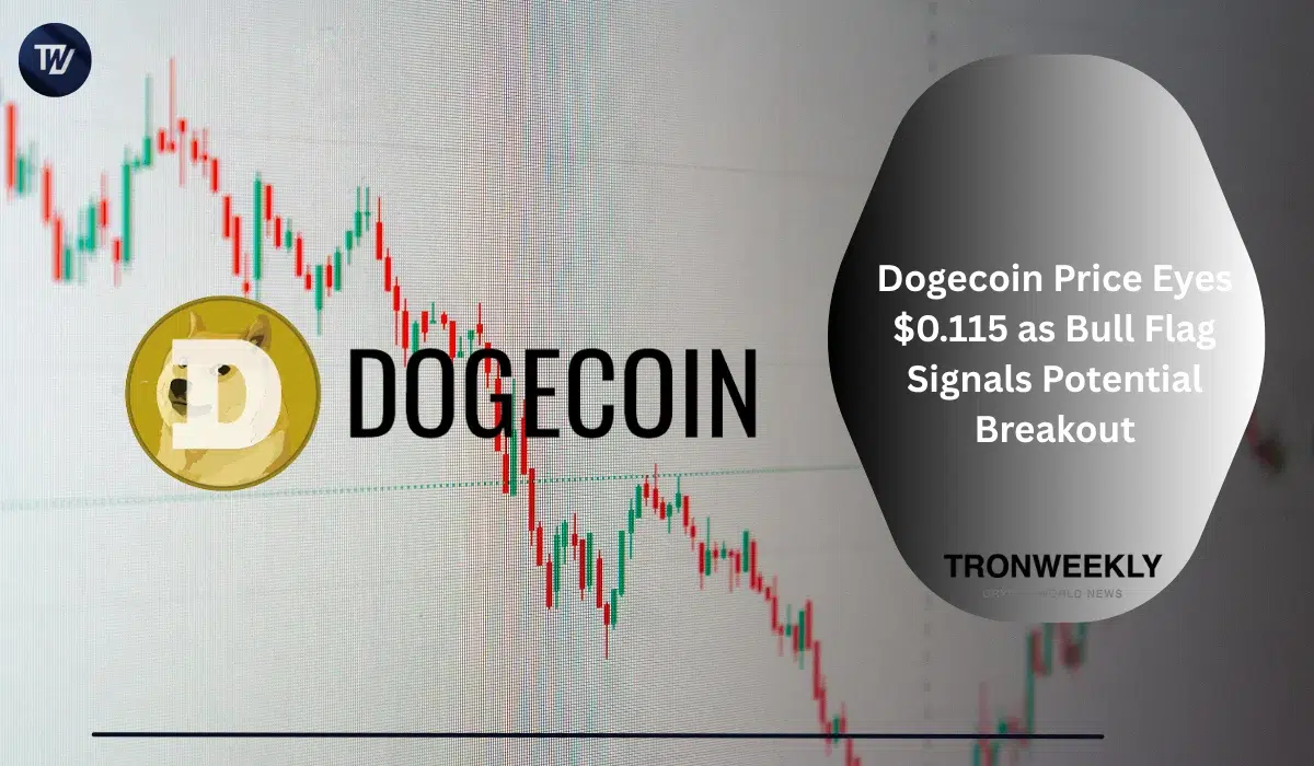 Dogecoin-Kurs peilt 0,115 USD an – Bull Flag-Muster signalisiert möglichen Ausbruch