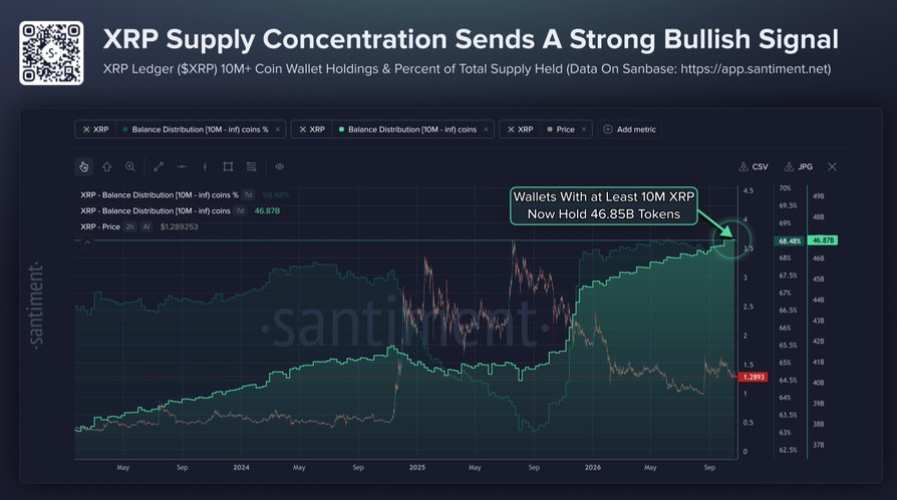 Цена XRP подает сигнал на покупку, пока крупные кошельки держат 46,87 млрд токенов