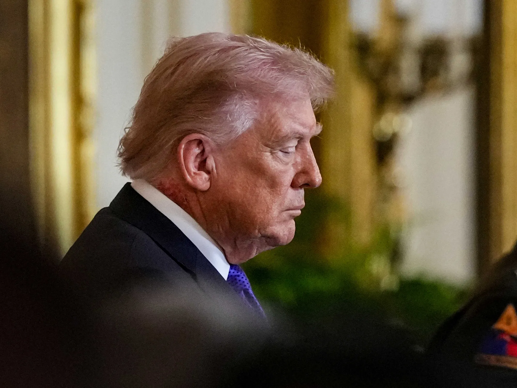 Maggie Haberman Declines Clinical Verdict on Trump's Cognition, Says His Age at 80 'Shows'
