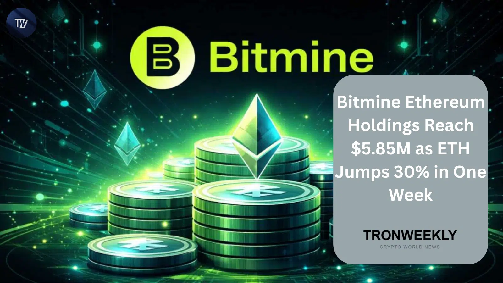 Запасы Ethereum компании Bitmine достигли 5,85 млн ETH на фоне роста ETH на 30% за неделю