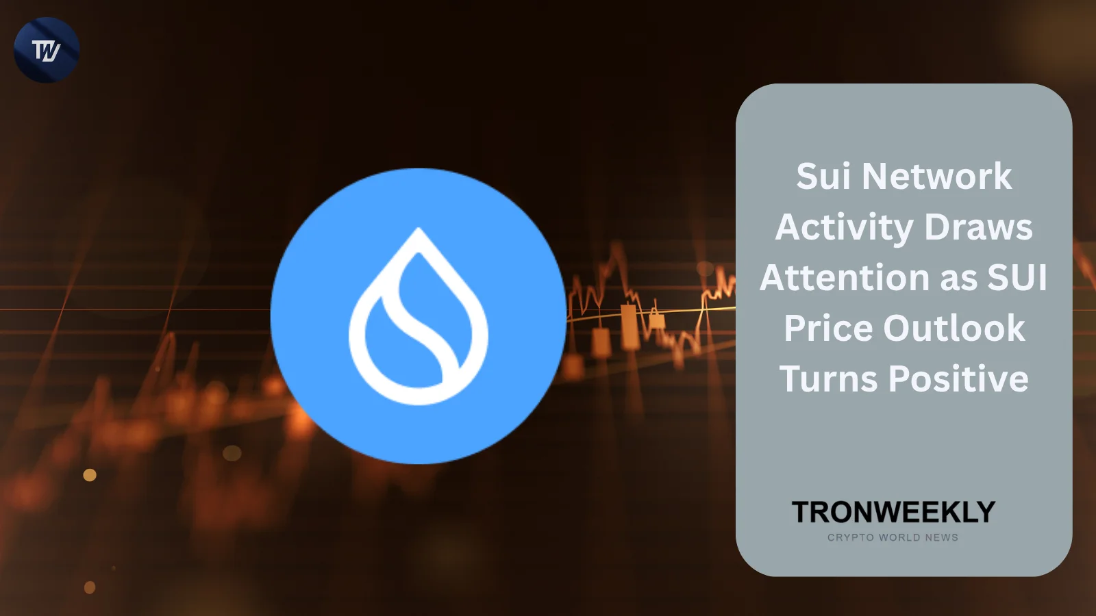 Sui Logs 11.6 Million Daily Transactions as SUI Price Outlook Hinges on $1 Support