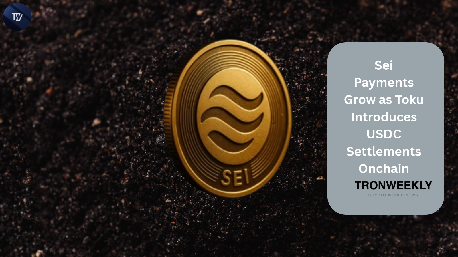 Sei Payments Expand as Toku Brings USDC Settlements Onchain