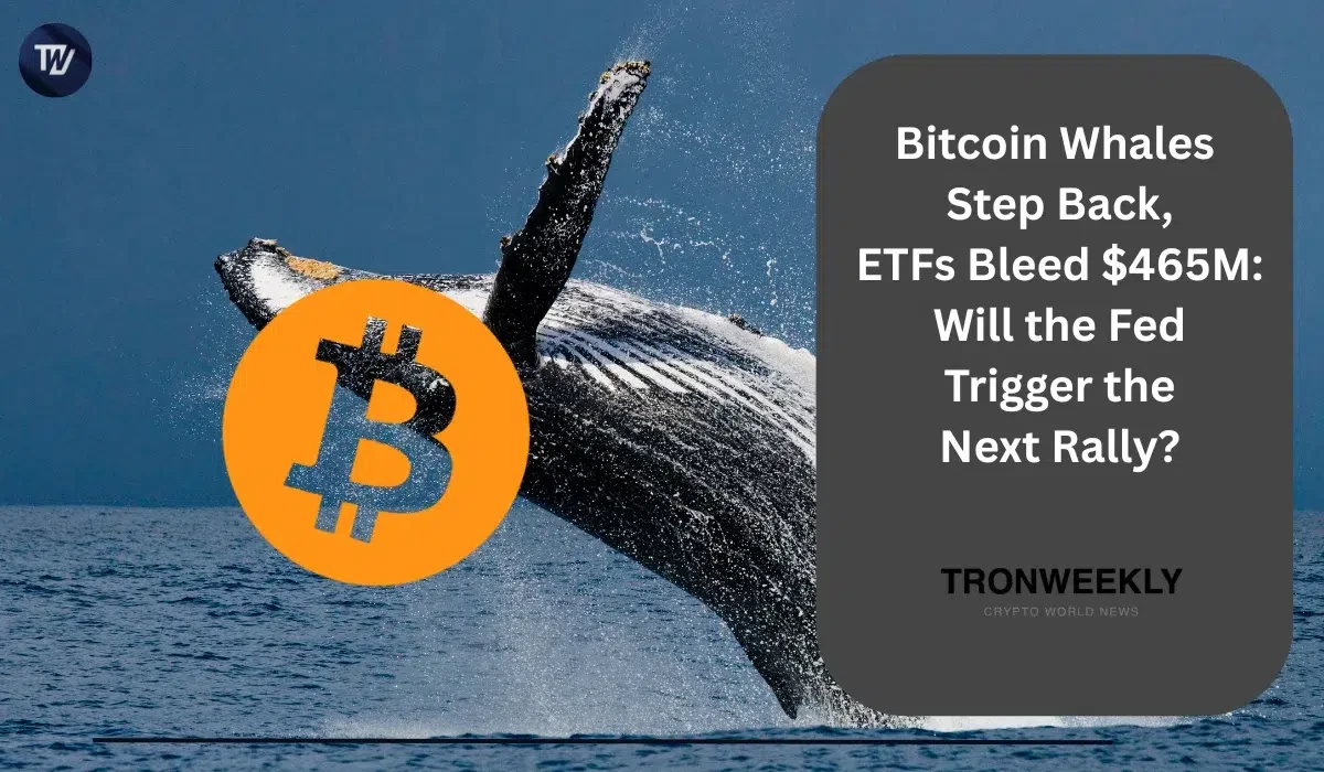 Биткоин-киты сокращают активность, а ETF зафиксировали отток $465 млн накануне заседания ФРС