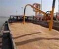 Las exportaciones de trigo blando de la UE caen a 1,01 millones de toneladas hasta el 9 de agosto