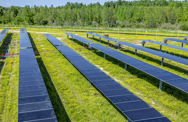 Meta firma un PPA a lungo termine con Lightsource bp per un progetto solare da 172 MW in Louisiana