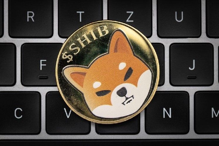 Shiba Inu достиг двухмесячного максимума: SHIB вырос на 22% за неделю