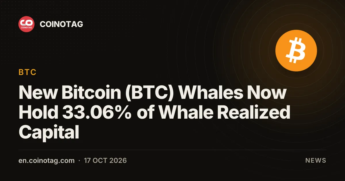新晋比特币（BTC）巨鲸现已持有巨鲸已实现资本的33.06%