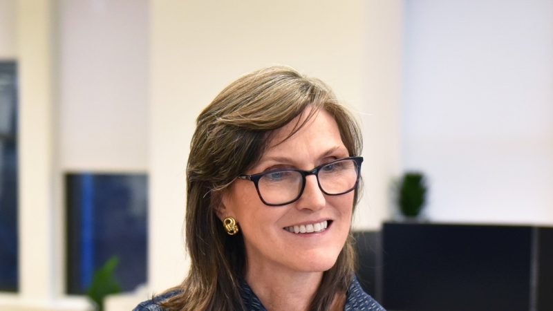 Cathie Wood: inwestorzy powinni śledzić wydatki agentów AI, a nie chatboty