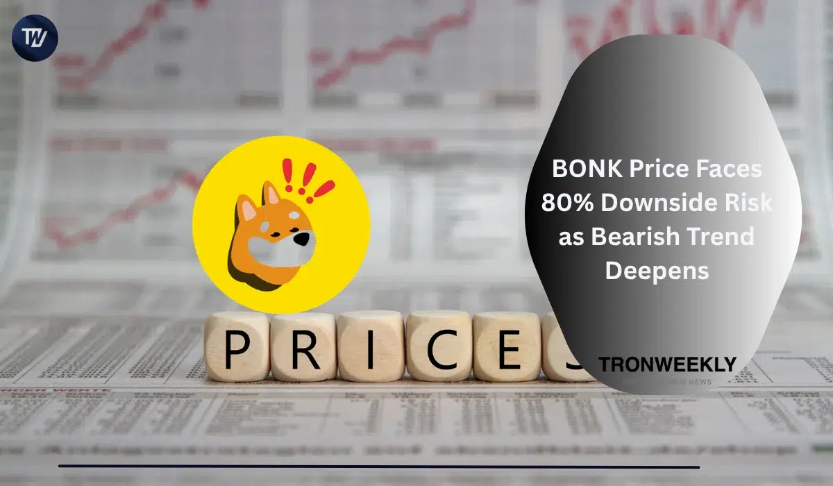 BONK面臨潛在80%下行風險，空頭趨勢持續但生態系統活動依然強勁