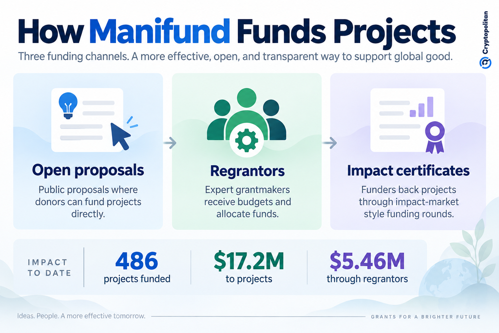 Бывшая глава Alameda Кэролайн Эллисон получила постоянную должность в Manifund