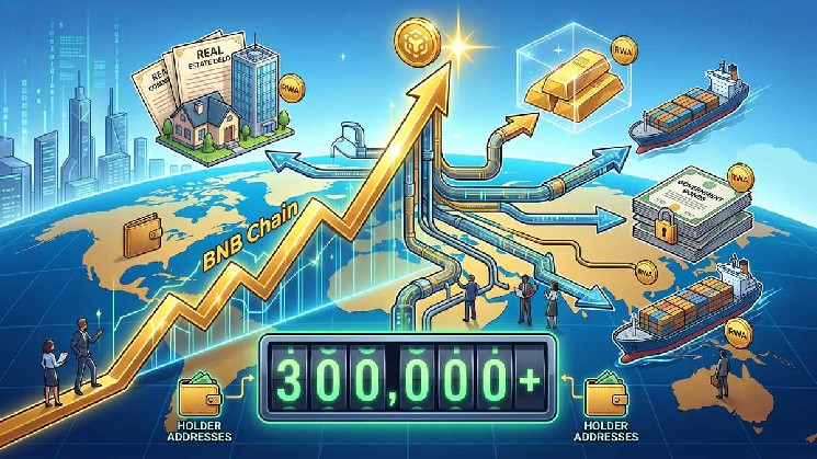 BNB Chain atteint un record absolu en adoption RWA, dépassant 300 000 détenteurs de jetons