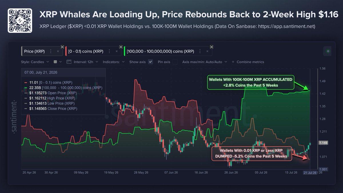 Les baleines XRP accumulent alors que le prix teste le niveau de cassure de 1,16 $