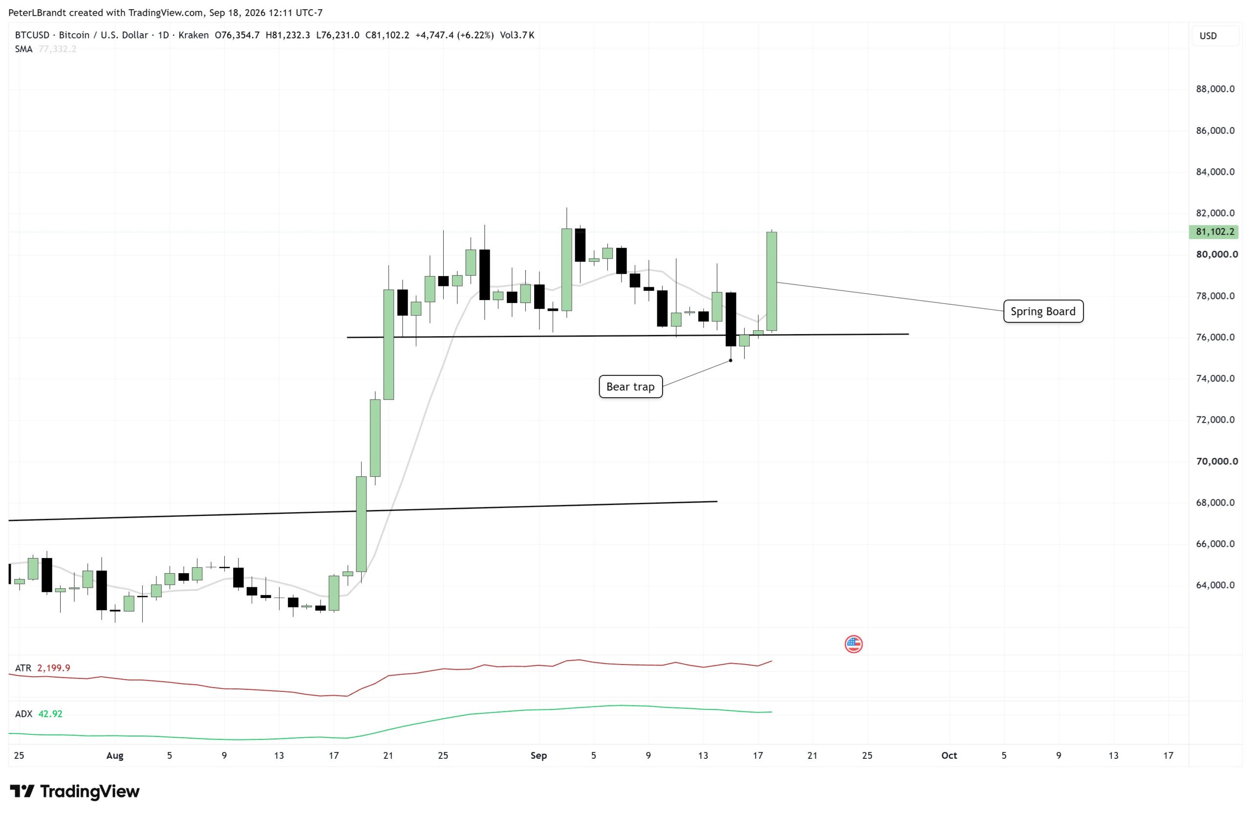 Bitcoin supera gli 81.000 dollari mentre Peter Brandt segnala un possibile bear trap