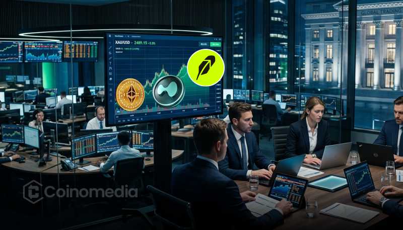 Выручка приложений Robinhood Chain за 24 часа превысила показатели Ethereum и Hyperliquid L1 и почти в шесть раз — Base