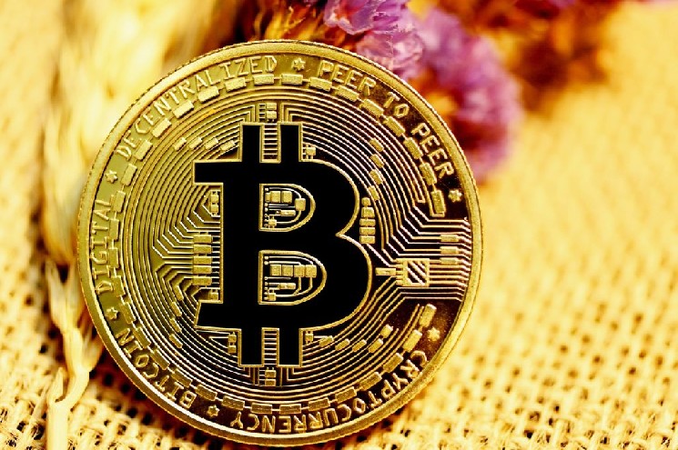 PlanB: следующая бычья цель Bitcoin — 100-недельная скользящая средняя около $89,000